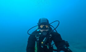 ダイブテリーズ