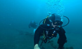 ダイブテリーズ