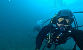 ダイブテリーズ