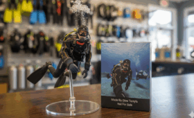 ダイブテリーズ