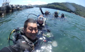 ダイブテリーズ