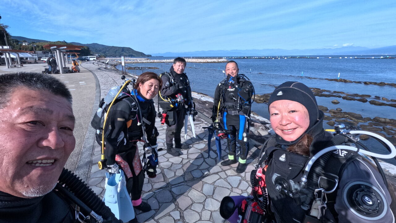 ダイブテリーズ