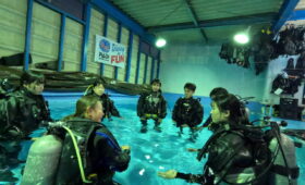 ダイブテリーズ