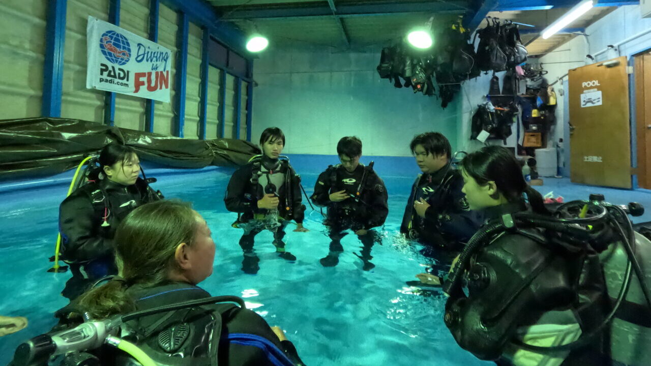 ダイブテリーズ