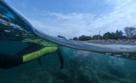 ダイブテリーズ