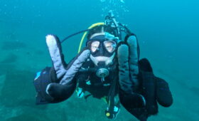 ダイブテリーズ