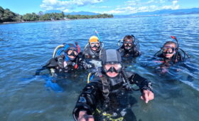 ダイブテリーズ