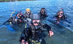 ダイブテリーズ