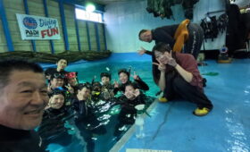 ダイブテリーズ