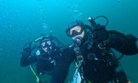 ダイブテリーズ