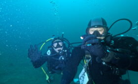 ダイブテリーズ