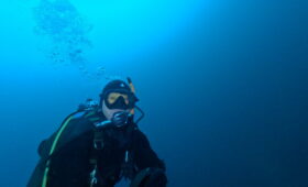 ダイブテリーズ