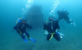 ダイブテリーズ