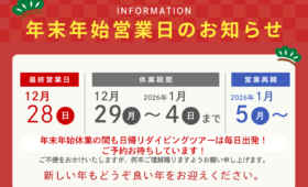 ダイブテリーズ