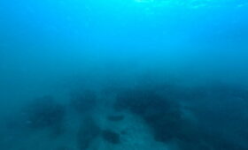 ダイブテリーズ