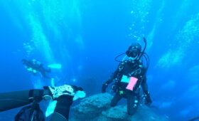 ダイブテリーズ