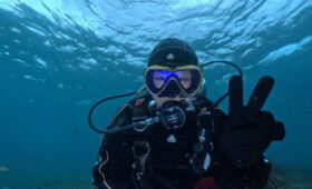 ダイブテリーズ