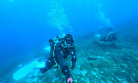 ダイブテリーズ