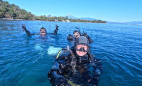 ダイブテリーズ