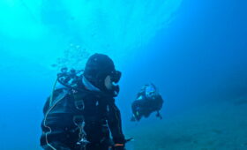 ダイブテリーズ