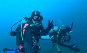 ダイブテリーズ