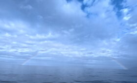 ダイブテリーズ