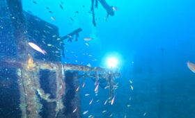 ダイブテリーズ