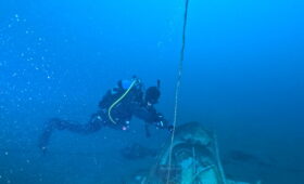 ダイブテリーズ