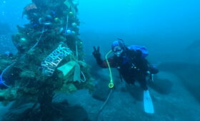 ダイブテリーズ