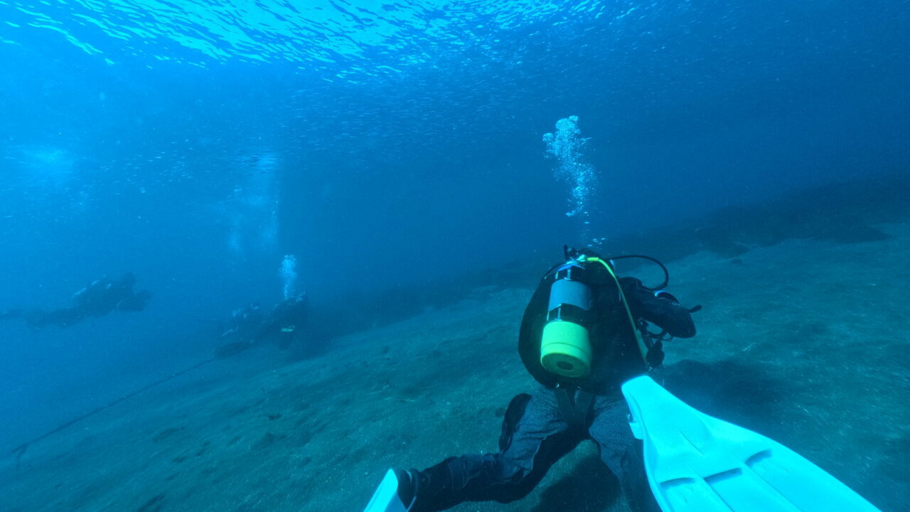 ダイブテリーズ