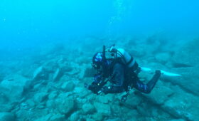 ダイブテリーズ