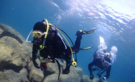 ダイブテリーズ