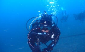 ダイブテリーズ