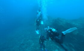 ダイブテリーズ