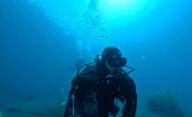 ダイブテリーズ