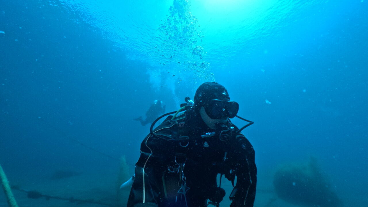 ダイブテリーズ