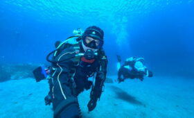 ダイブテリーズ