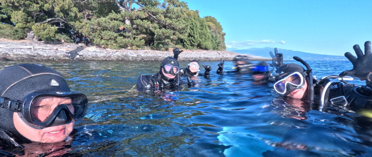 ダイブテリーズ