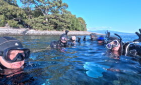 ダイブテリーズ