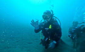 ダイブテリーズ