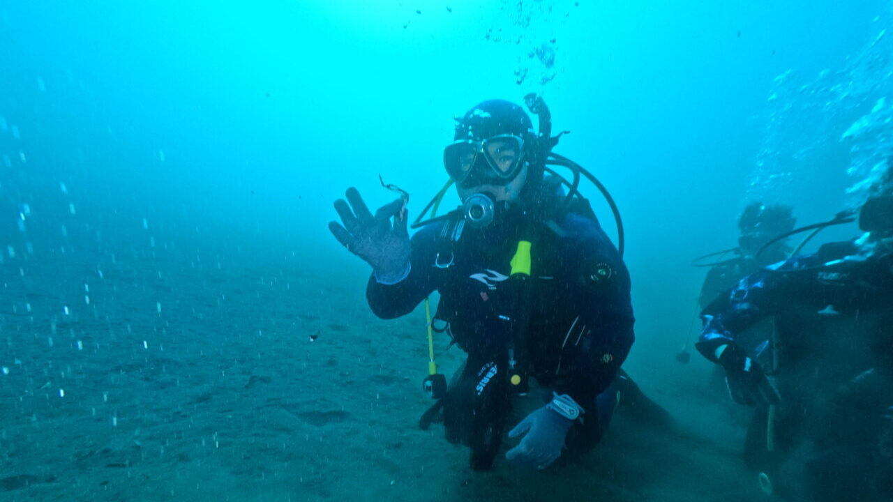 ダイブテリーズ