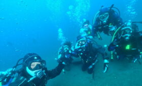 ダイブテリーズ