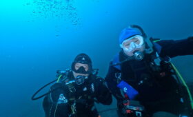 ダイブテリーズ