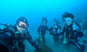 ダイブテリーズ