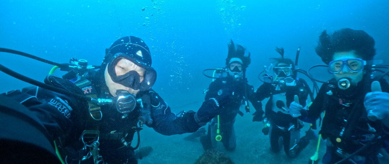 ダイブテリーズ