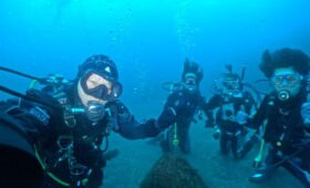 ダイブテリーズ