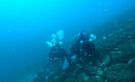 ダイブテリーズ