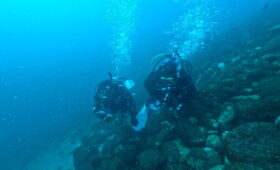 ダイブテリーズ