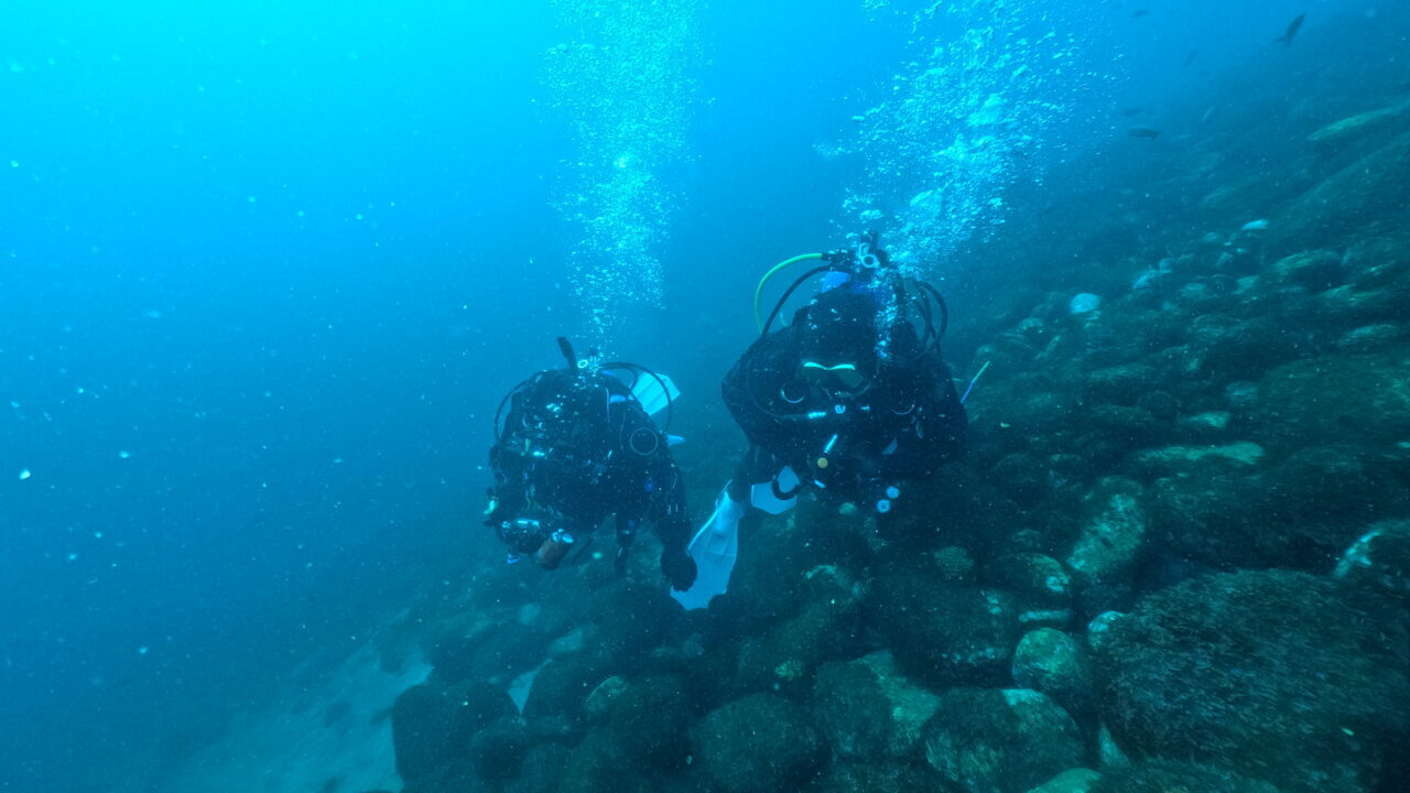 ダイブテリーズ