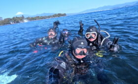 ダイブテリーズ